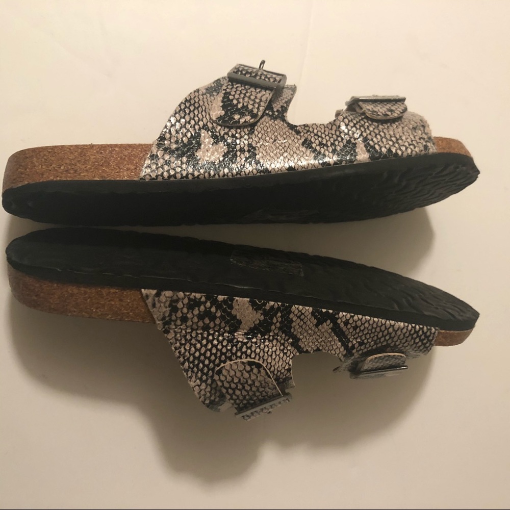 🐍 Snake Print Slides - Picture 6 of 8